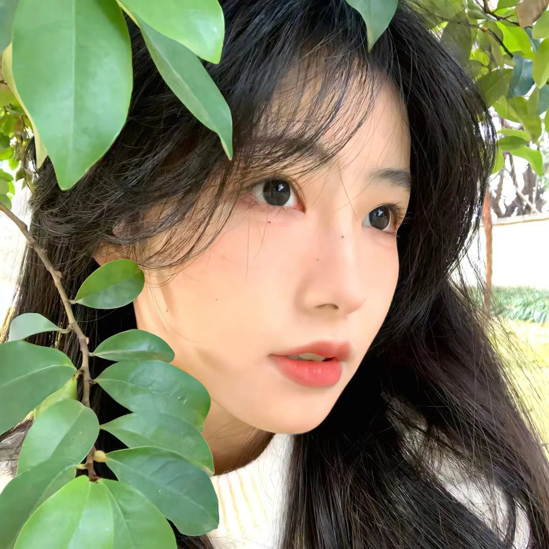 形单影只